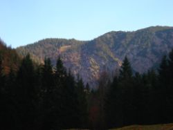 2013-10-26_Schildenstein (048).JPG
